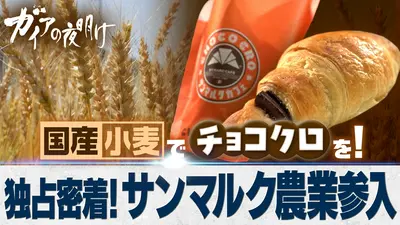 ガイアの夜明け