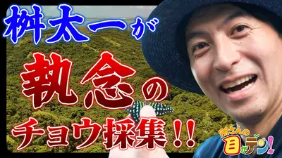 所さんの目がテン！
